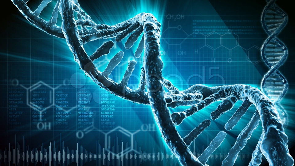 BIOLOGY CORNER – Genetica – ce poate face cu adevărat?